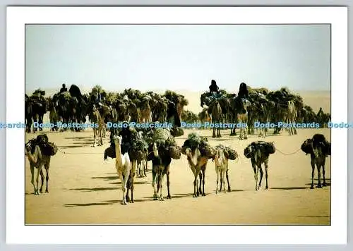 D325255 Azalai entre Bilma et Fachi. Maurice Ascani. Diaby. Niamey. Niger. Postc