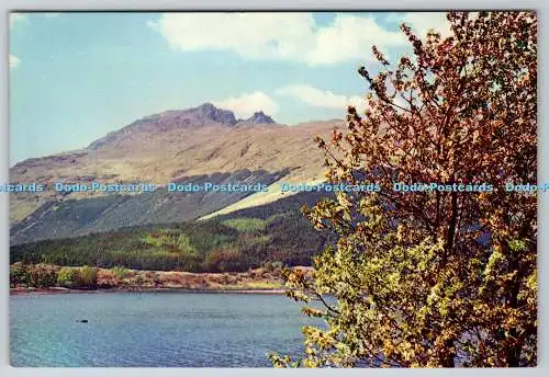 D328664 Argyll. Schuster oder Ben Arthur von Loch Long in der Nähe von Arrochar aus gesehen. J. Arth