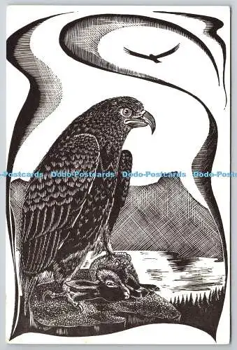 D326098 Steinadler. Größte britische Greifvögel. Derek Riley. Die D R Pre
