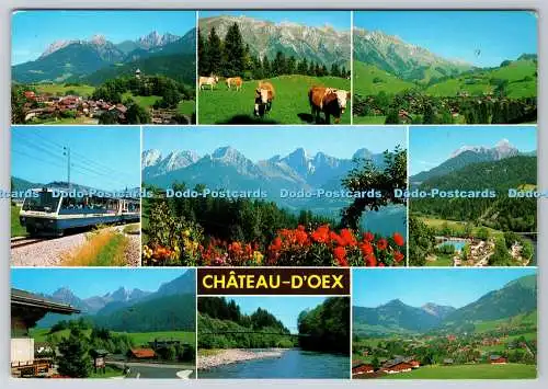 D334110 Chateau D Oex. Perrochet. Multi View