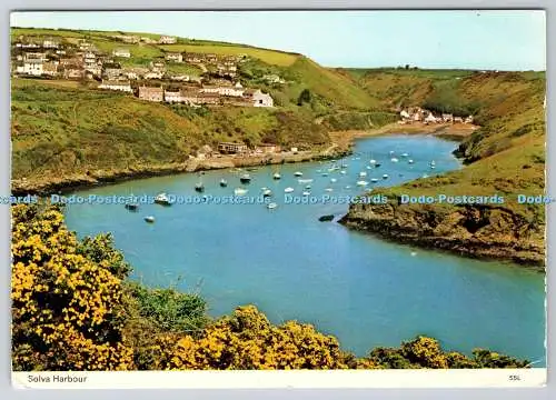 D334112 Solva Hafen. E. T. W. Dennis. Robert O. Evans