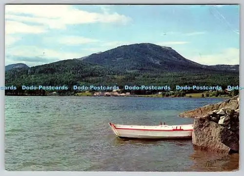 D325286 Norwegen. Telemark. Vradal. Normanns Kunstforlag A.S. Oslo. 1971. Postwagen