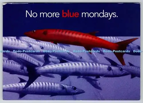 D334118 No More Blue Mondays. Fisch. Royal Court Theatre. Bloomberg. Bumerang. O