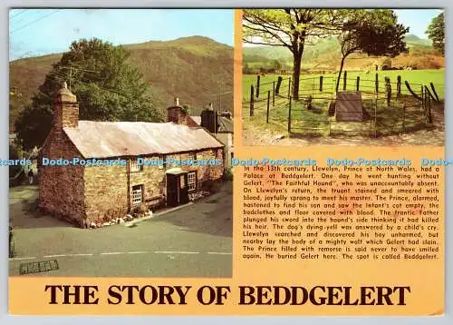D334128 Die Geschichte von Beddgelert. Geliergrab. J. Arthur Dixon. PM. Tywyn. Gwyn