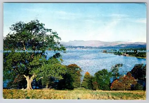 D334154 Windermere. Westmorland. Ein Blick vom Adelaide Hill. J. Arthur Dixon. 197