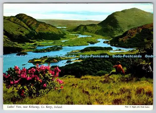 D328736 Irland. County Kerry. Ladies View in der Nähe von Killarney. E. Nagele. John Hinde