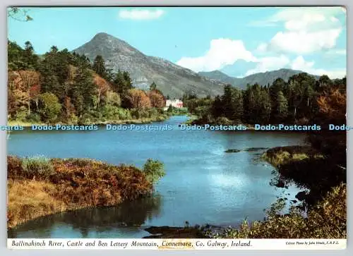 D328748 Irland. County Galway. Connemara. Castle und Ben Lettery Mountain. Ball