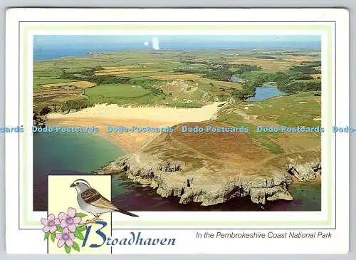 D334170 Broadhaven. Im Pembrokeshire Coast Nationalpark. Alan Shepherd