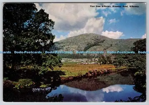 D328752 Irland. Kenmare Road. Blick von Killarney. Margaret Joyce. Dublin. Succ