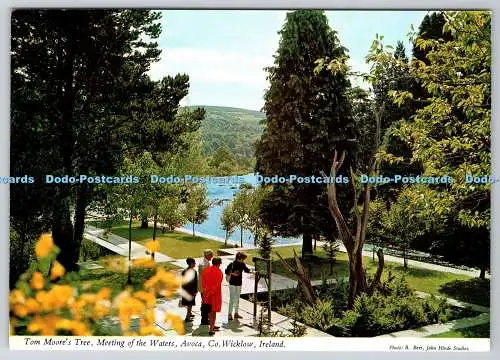 D328758 Irland. County Wicklow. Avoca. Treffen der Gewässer. Tom Moores Baum.