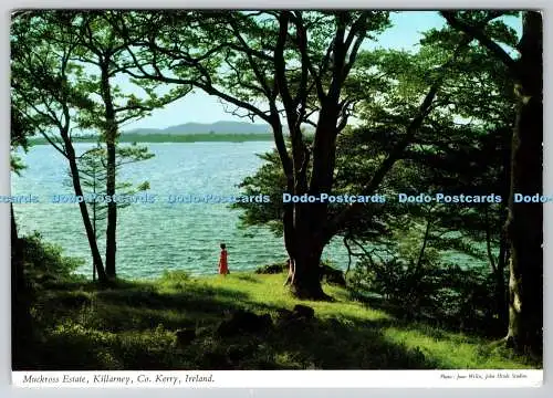 D328767 Irland. County Kerry. Killarney. Muckross Estate ist ein einzigartiger nationaler