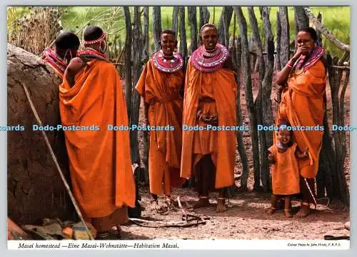 D331414 Masai Homestead. John Hinde