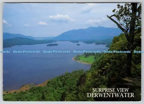 D334209 Derwentwater. Überraschungsansicht. Eschenholz. J. Salmon. Sevenoaks. Kent