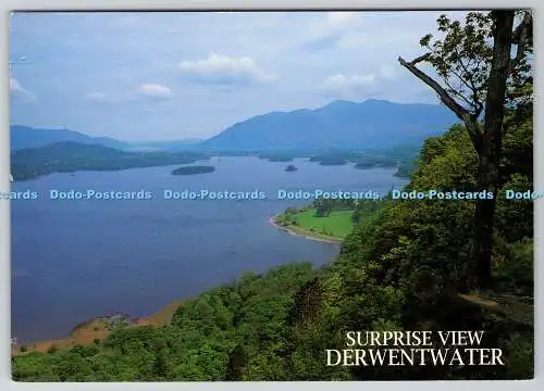 D33410 Derwentwater. Überraschungsansicht. Eschenholz. J. Salmon. Sevenoaks. Kent