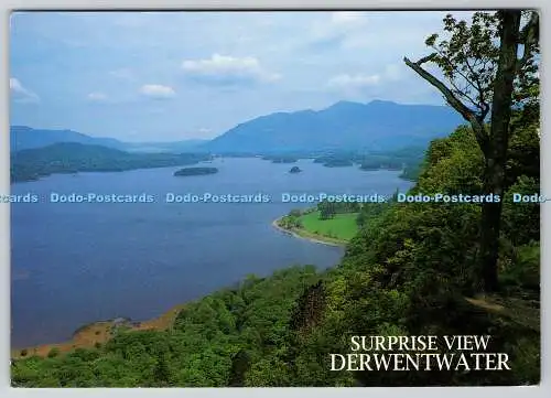 D334211 Derwentwater. Überraschungsansicht. Eschenholz. J. Salmon. Sevenoaks. Kent. 2