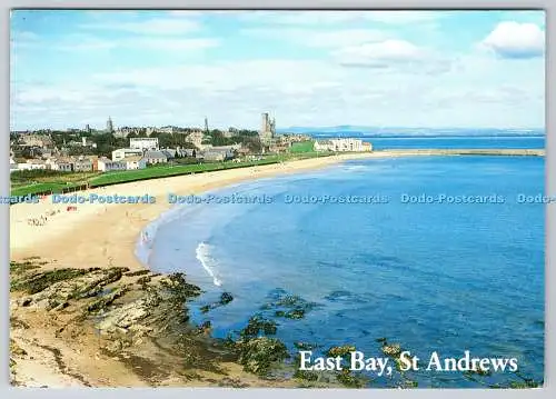 D334248 St. Andrews. East Bay. Whiteholme. Dundee