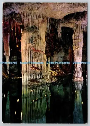 D326249 Alghero. Die Nettuno Grotten. MAGIT. M. e G. Tognoli Editori. Livorno.