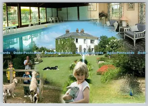 D334253 Kinder mit Hase. Schafe. Hunde. Ein wunderbarer Urlaub in Vere Lo