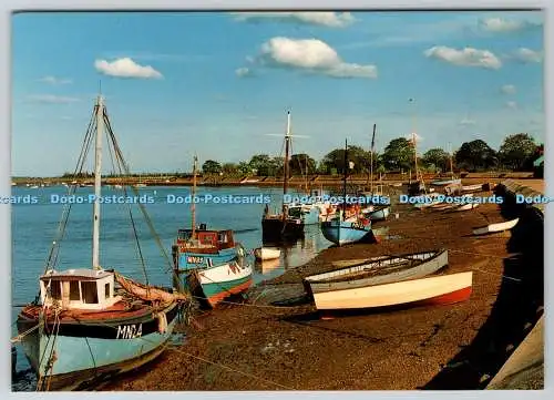 D325447 Essex. Maldon. Angelboote im Fluss Blackwater. C. F. Charlick 198