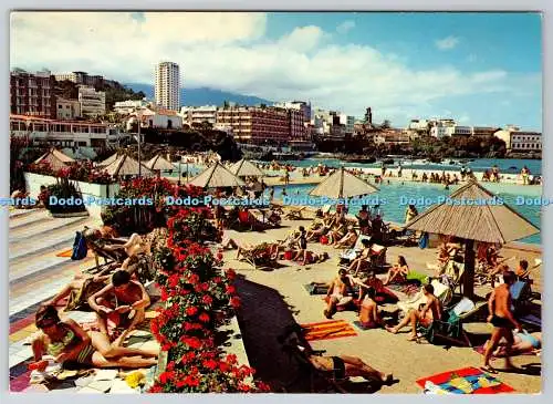 D331494 Teneriffa. Puerto de la Cruz. Solarium der Schwimmbäder von San Telmo