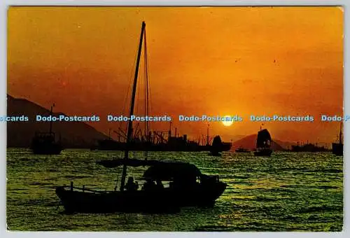 D334283 Hongkong. Sonnenuntergang. K. P. Yuen