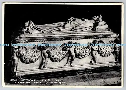 D334298 Lucca. Catedrale. Urna Sepolcrale. Stich Grafico Cesare Capello. Foto Bri