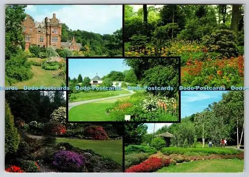 D334319 Waldgartenprimel. Torfwände. J. Arthur Dixon. Multi View