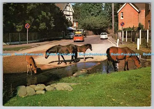 D328906 Hampshire. Brockenhurst. Brookley Watersplash. A. J. Stevens. J. Arthur