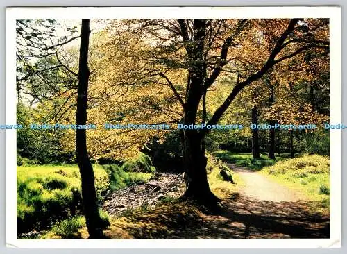 D328915 Schottland. Lews Castle Grounds. Norman Macsween. PM. Stornoway. 1990. Pos