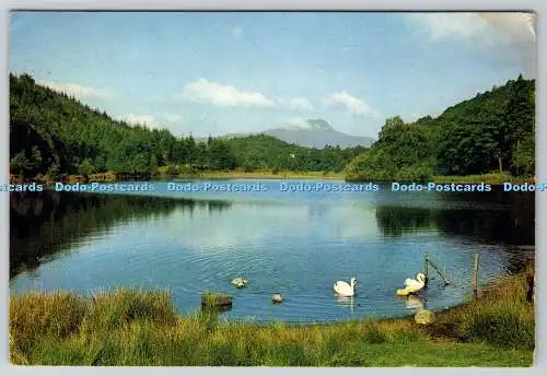 D328916 Perthshire. Aberfoyle. Loch Ard. J. Arthur Dixon. Inverness. Farbfoto