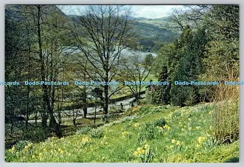 D328918 Westmorland. Rydal Water. T. Parker. J. Arthur Dixon. Newport. Farbe Ph