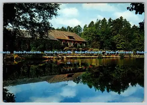 D334332 Station Thermale de Bagnoles De L Orne. Orne. Artaud Freres