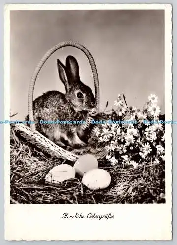 D325507 Herzliche Ostergrusse. Riehl. Leipzig. Veb Bild und Heimat Reichenbach I