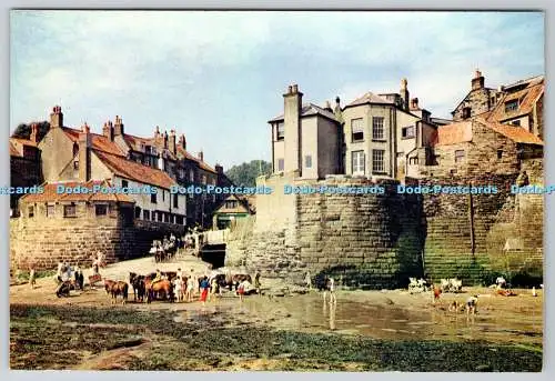 D328920 Yorkshire. Robin Hoods Bay. J. Arthur Dixon. Newport. Farbfoto.