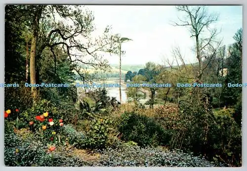D334335 St. Just in Roseland. Cornwall. J. Arthur Dixon