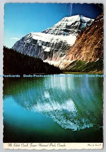 D326344 Kanada. Jasper Nationalpark. Mount Edith Cavell. Sutton. Dexter Farbe.