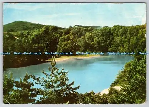 D331581 Wareham. Der blaue Pool. Jarrold. Norwich. England. PM. Lyme Regis. Dorse