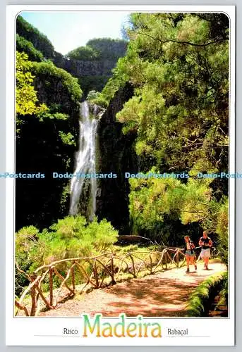 D326367 Madeiro. Risco. Rabacal. Dima. Marcial Fernandes. Sofoto S.L. Lit. Rom