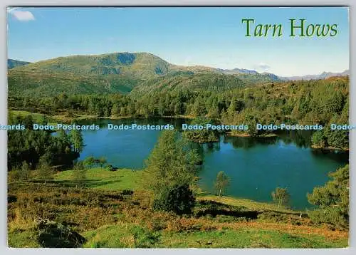 D328952 Cumbria. Coniston. Tarn Hows. Julie Fritteuse. John Hinde. Redruth. United K