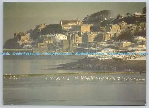 D334365 Blick nach Clevedon. Weston Hospicecare. Lithographie von Worcester