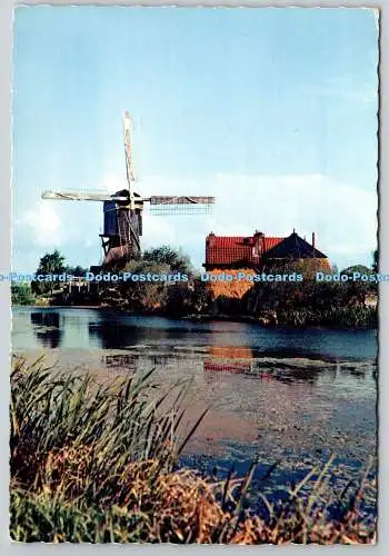 D325549 Holland e Molen. Windmühle. Bruna. Utrecht. Mexichrom. N. 69. Postkarte