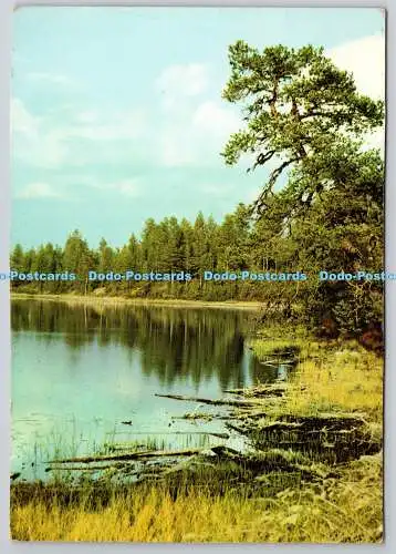 D325554 Juuma. Volker von Bonin. Kuvataide Bildkonst. Finnland. Postkarte