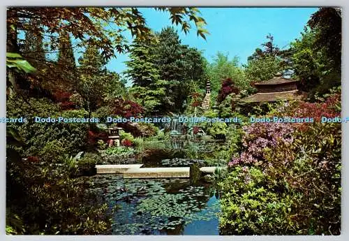 D3344380 Compton Acres. Poole. Dorset. Japanischer Garten. Der fotografische Gruß