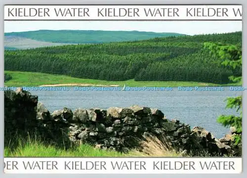 D334384 Kielder Wasser. Bull Crag Halbinsel. J. Arthur Dixon. Richard Wylie