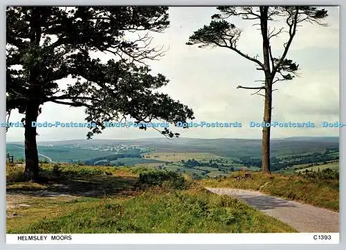 D334394 Helmsley Moors. Richter. C. 1393