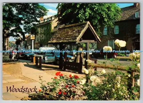 D328985 Woodstock. Die Bestände. J. Salmon. Sevenoaks. Postkarte Kamerafarbe. Engl