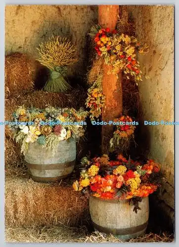D326411 Trockenblumen. Amanda Docker. Julie Fisher. Jacky Boase. Kapitel und Ver