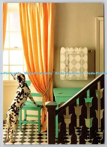 D325585 Uni Apricot. Dalmatiner. Hund. James Merrel. Laura Ashley. Kapitel und V