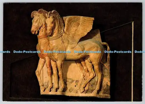 D334408 Tarquinia. Museo Nazionale. Cavalli Alati. Scala. Arno