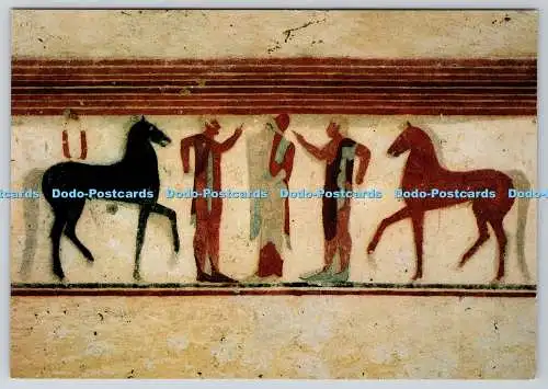 D334414 Tarquinia. Tomba del Barone. Schenna di Commiato. Arno Tevere. Scala
